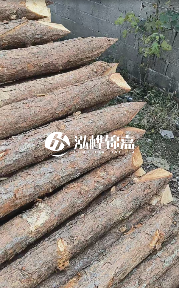 松木樁哪里能大量供應(yīng)？4米20公分松木樁價格是多少？