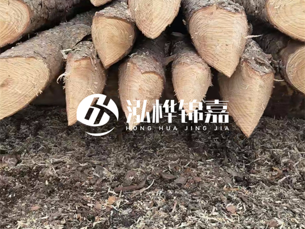 打樁木樁與鋼樁相比有哪些優(yōu)缺點(diǎn)？如何進(jìn)行后期維護(hù)？