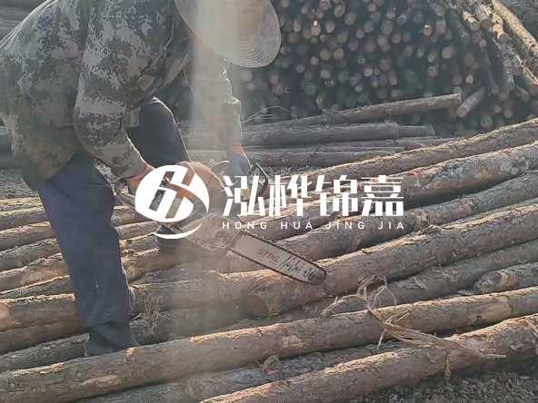廣東打樁木源頭廠家泓樺錦嘉 - 如何選擇適合特定邊坡的松木樁？