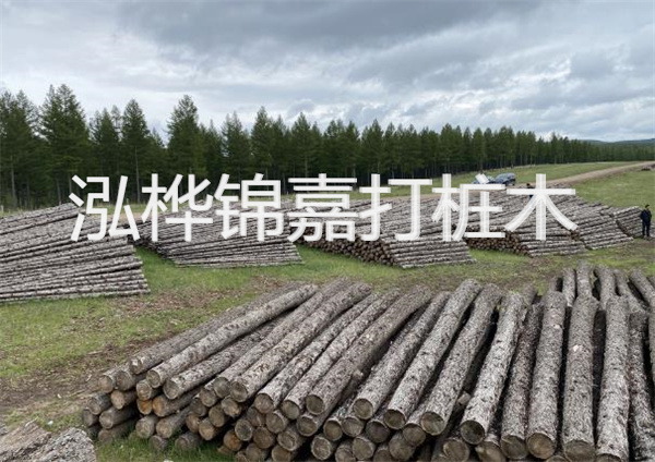 鋼結構施工方案大全免費提供，助力工程建設