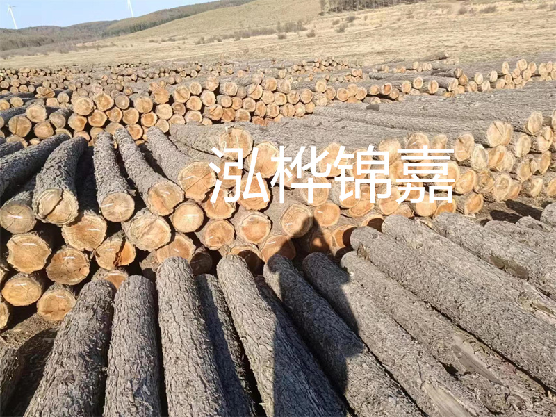選擇合適的路緣石尺寸，打造美麗道路