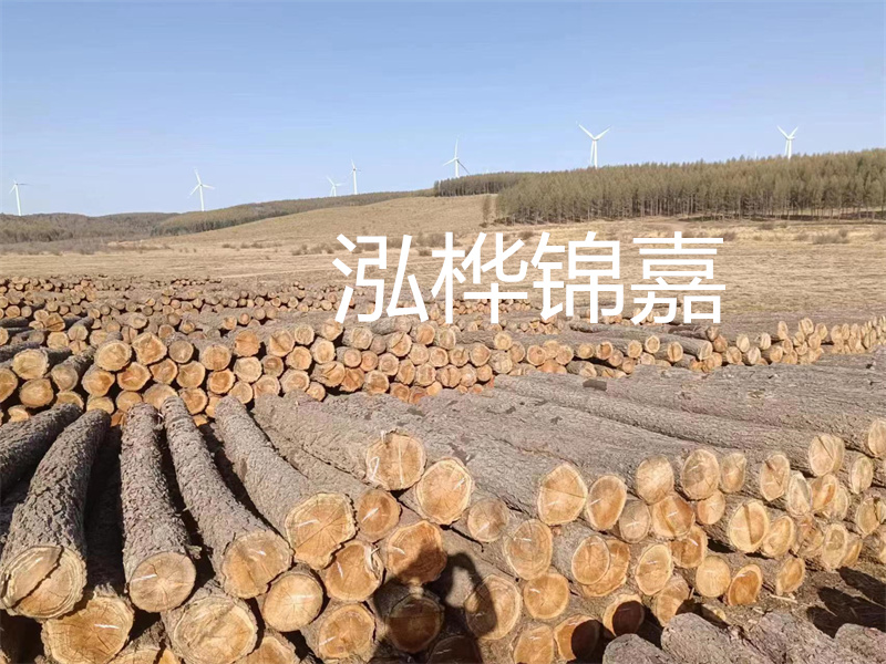 濟(jì)南哪里賣松木木樁？